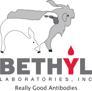 Bethyl品牌抗體