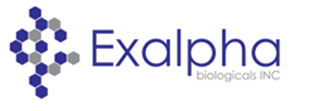 Exalpha品牌抗體產(chǎn)品