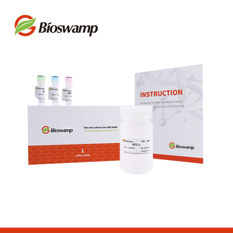 武漢貝萊茵B(yǎng)ioswamp試劑盒